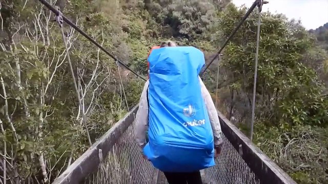 Cruzan un puente colgante y de repente se desploma