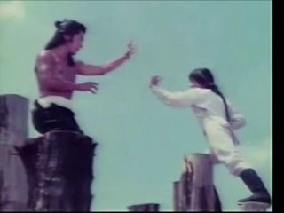 方世玉大破梅花桩(少林寺マスター)