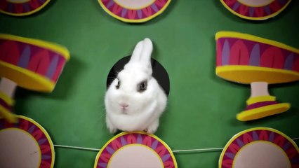 Disney Bunny Theater  Oh My Disney