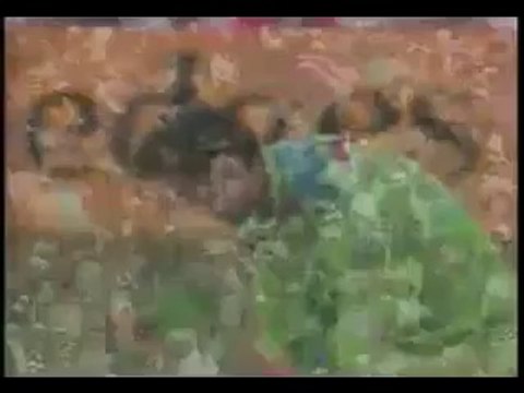 Inzamam ul Haq Batting World Cup 1992 Semi Final