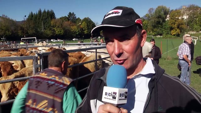D!CI TV : Un succès pour la foire agricole et artisanale de Seyne-les-Alpes