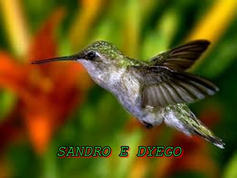 SANDRO E DYEGO