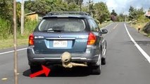 UFO Sighting Alien Creature Hides Under Moving Car! Is This An Alien Carjack? Controversia