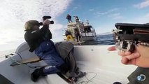 La troupe sta girando un documentario, quando lo squalo bianco attacca!