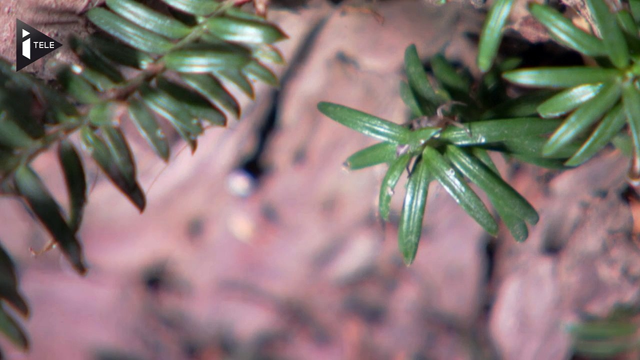 "Jour de la nuit", une soirée pour lutter contre la pollution lumineuse