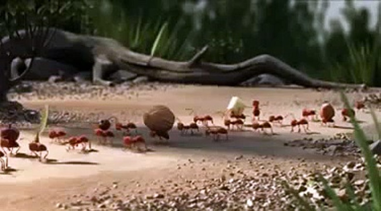 Unity
