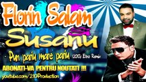 Florin Salam - Pun pariu mare pariu ETNO (Remix 2013) Şusanu