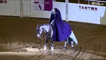 Au milieu de l'arène avec son magnifique cheval, elle nous laisse découvrir un spectacle féerique