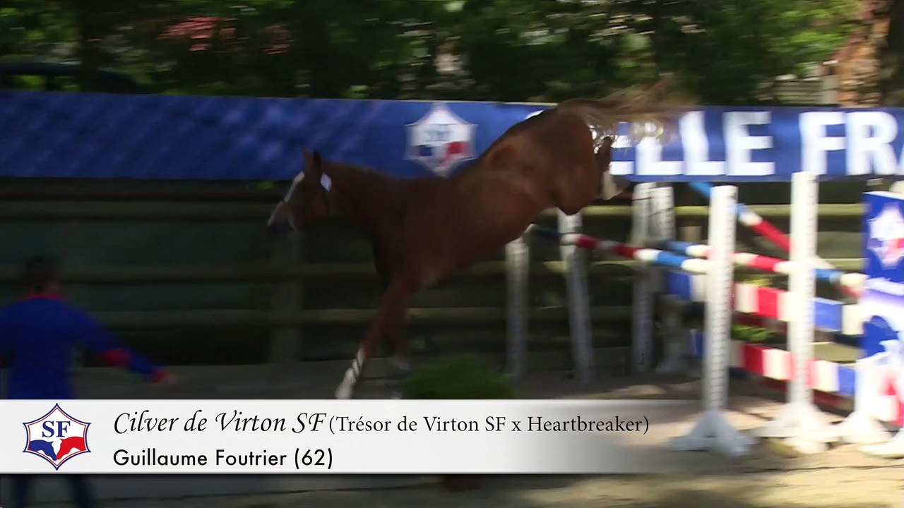 Championnat des Etalons SF 2 & 3 ans - Participants 2015 - Episode 4/6