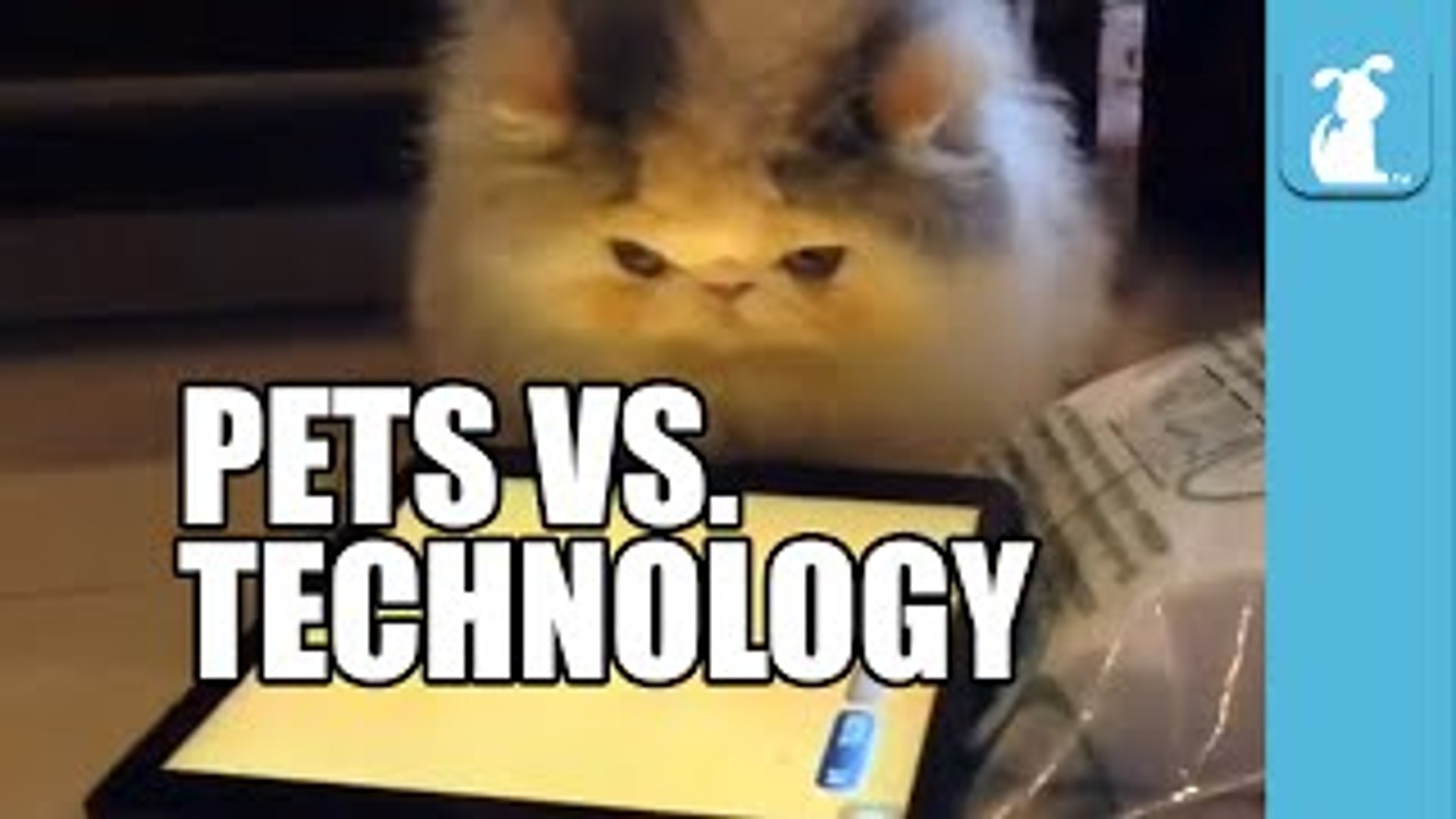 ⁣Pets Vs. Technology (Funny Compilation!)