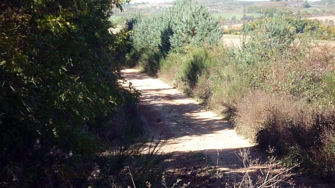 Feraud - Cardabelles 2015 - Es 3