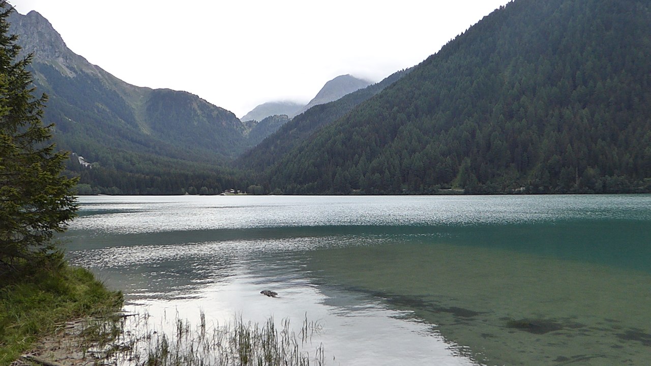 Antholzer See in Südtirol (Italien)