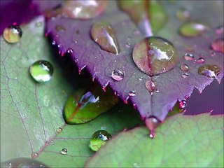 baba murli  07 09 2015 english