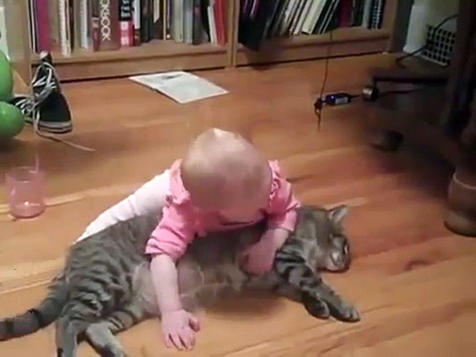 La Paciencia De Un Gato Con Un Bebe ★ humor gatos - video divertido gatos chistosos risa g (1)