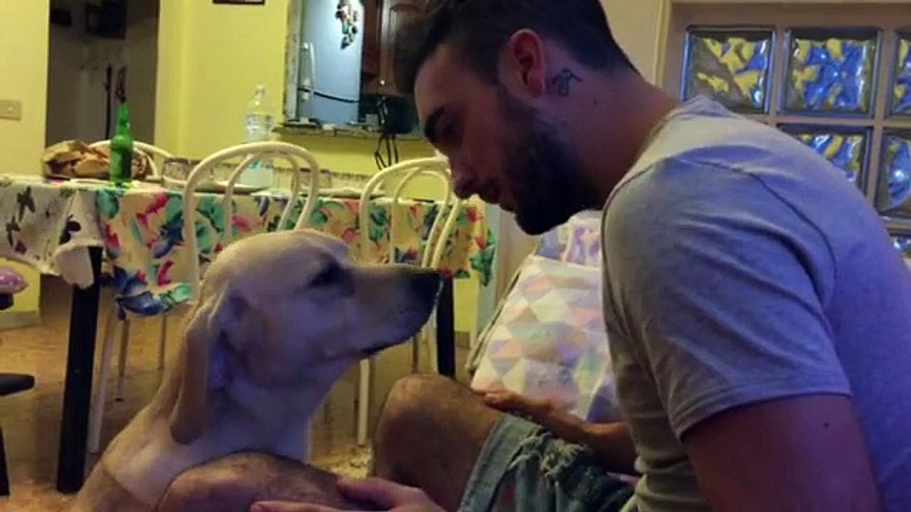 Guilty Dog Desperately Asks For Forgiveness