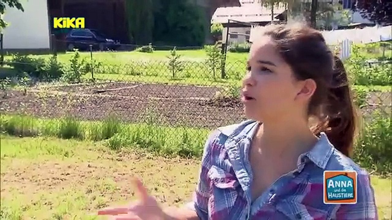 Anna und die Haustiere - Folge 21 - Labrador