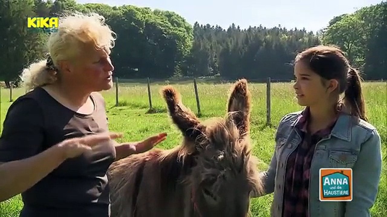 Anna und die Haustiere - Folge 26 - Esel
