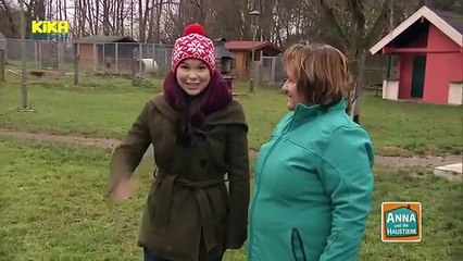 Download Video: Anna und die Haustiere - Hund