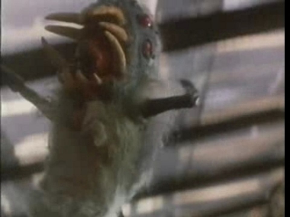Where is my Baygon ?!
