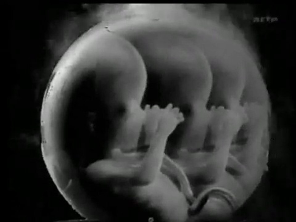 Le clone humain? Documentaire [FR]