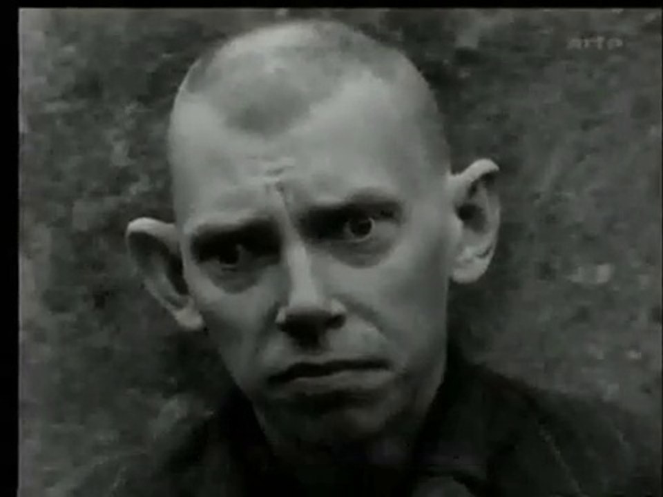 La genetique a-t-elle relance les theories du racisme et de l'eugenisme? Film [FR]