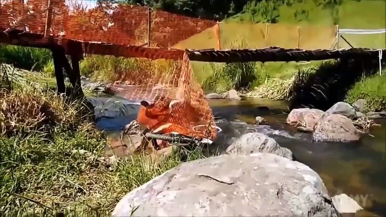 FailArmy Presents: Street Troller