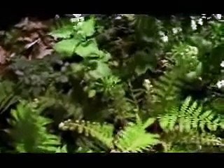 ARE YOU TOO ARROGANT TO PRAY --!! BEST ISLAMIC LECTURE