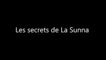 L'Antéchrist, Les secrets de la Sunna...