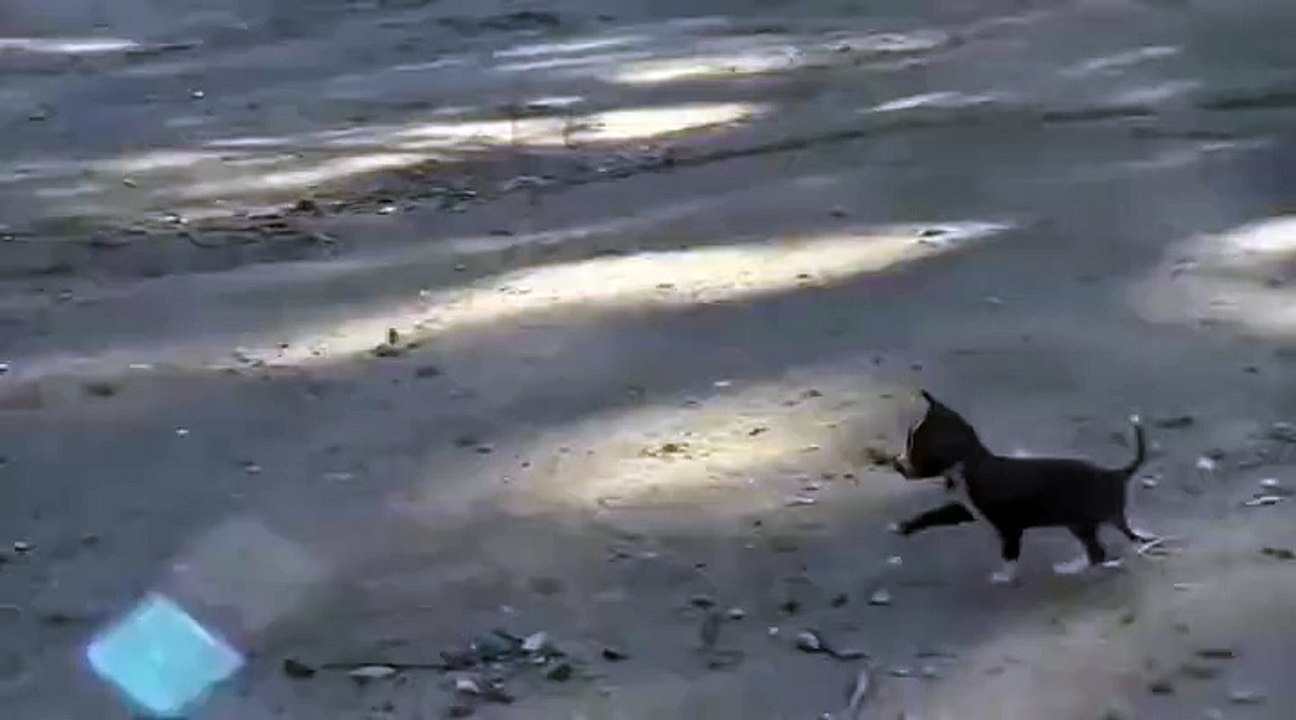 Vais je être aussi grand comme toi quand je serai grand