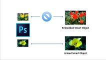 Linked Smart Objects _ Learn Photoshop CC _ Adobe TV