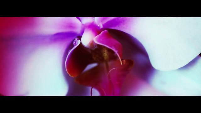 Ty Dolla $ign - When I See Ya ft. Fetty Wap (Music Video)