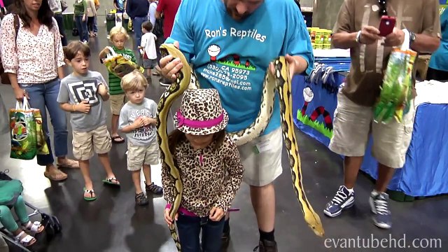 2013 REPTILE SHOW! Snakes, Lizards, Turtles, Tarantulas and MORE!