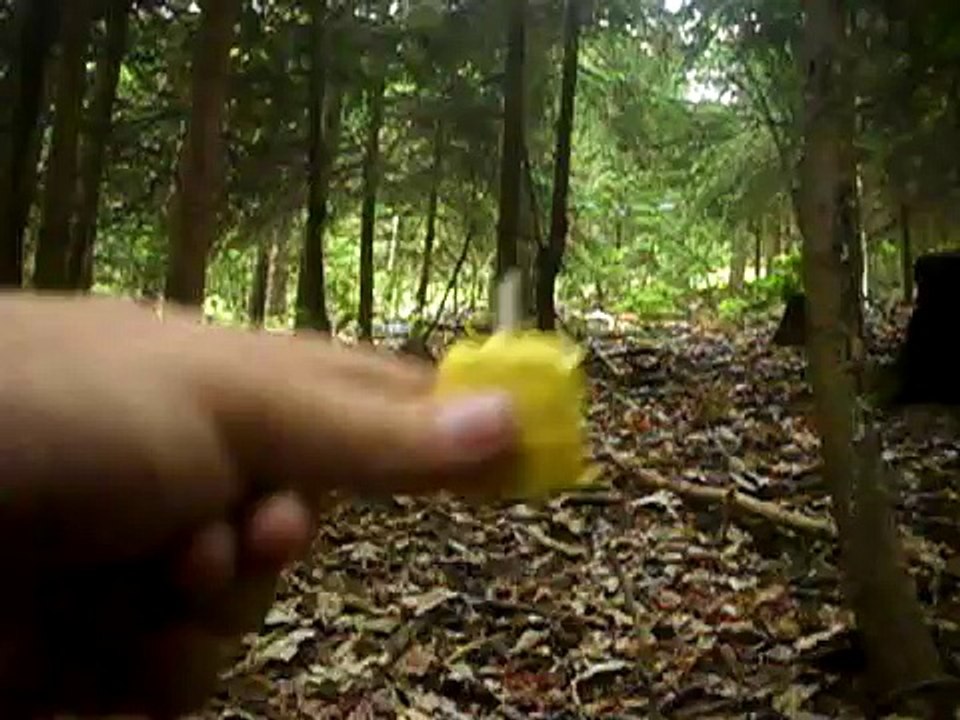 KCN rennt beim Böller zünden gegen Baum