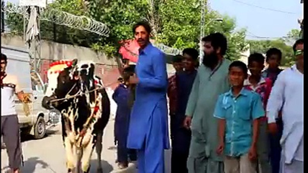 chohdri sahab