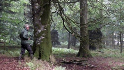 Chants de la nuit (clip)