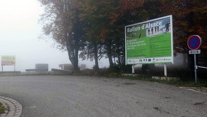 Transhumance au Ballon d'Alsace dimanche 11 octobre
