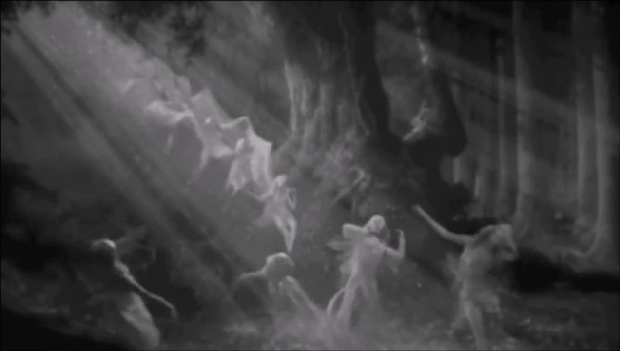 Darkwood - Silence At Night