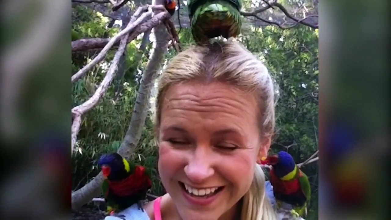 People Vs. Birds