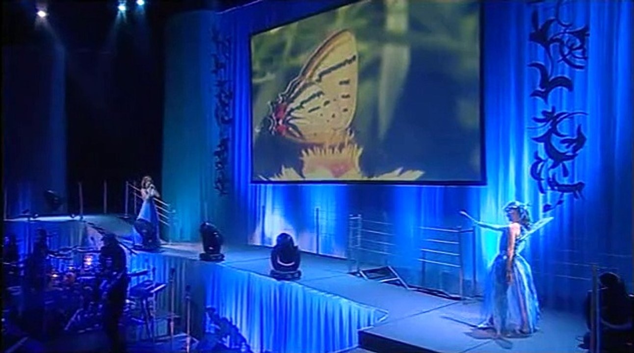 butterfly