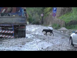 Përmbytjet, policia rrugore: Ja akset e kalueshme dhe ato problematike