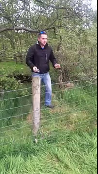 First big off in Donegal rally 2015 Pat Vs fence
