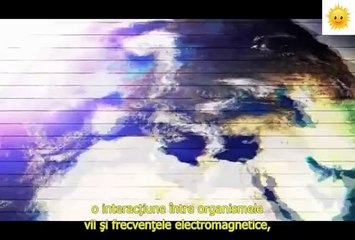 Resonance - Beings of Frequency (RO) - 1