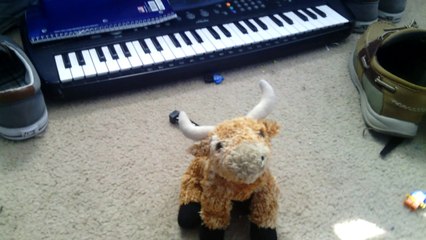 Mr. horns knows about it: brother hooves social