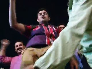 Very Good Dance On PMLN Ayaz Sadiq Celebration Dance -- Fevicol Se