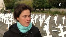 Sainte anne d auray  600 croix pour les agriculteurs suicidés  bretagne télé