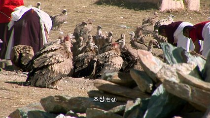 A Tibetan Buddhist pilgrimage to Lhasa