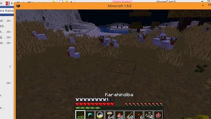 minecraft tavuk yetistirme ve yem verme