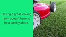 Lawn Care Service Naperville Illinois - Call (630) 236-1885