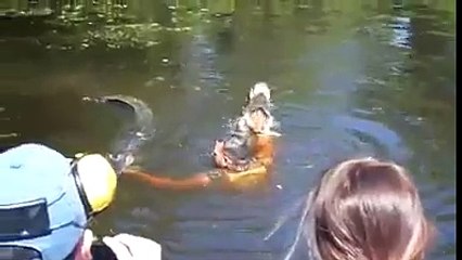 Man playing with crocodile OMG!!!!