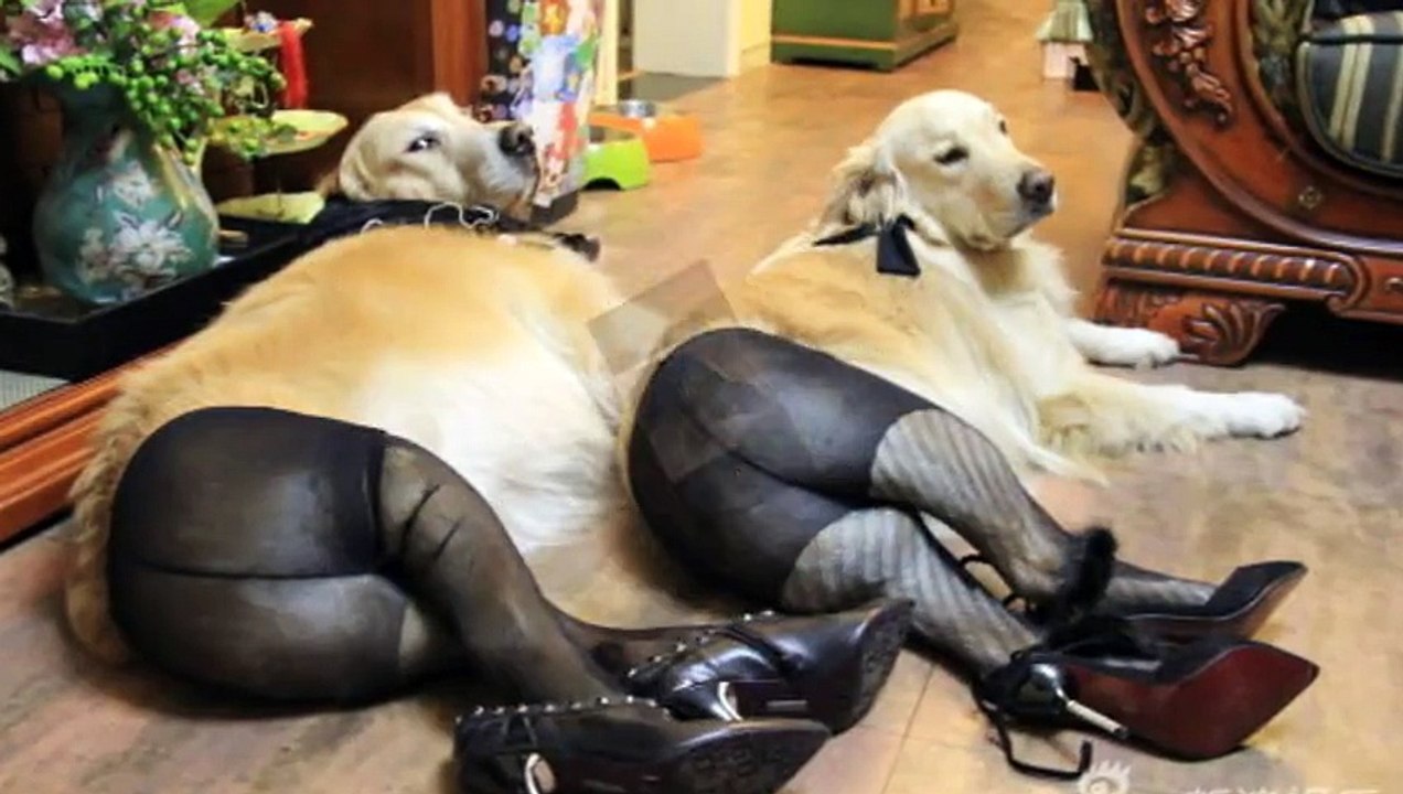 Most strange and   funny